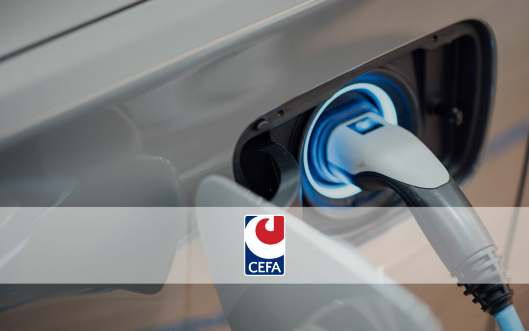 CEFA consolida su negocio con nuevos proyectos para Lancia y Polonia