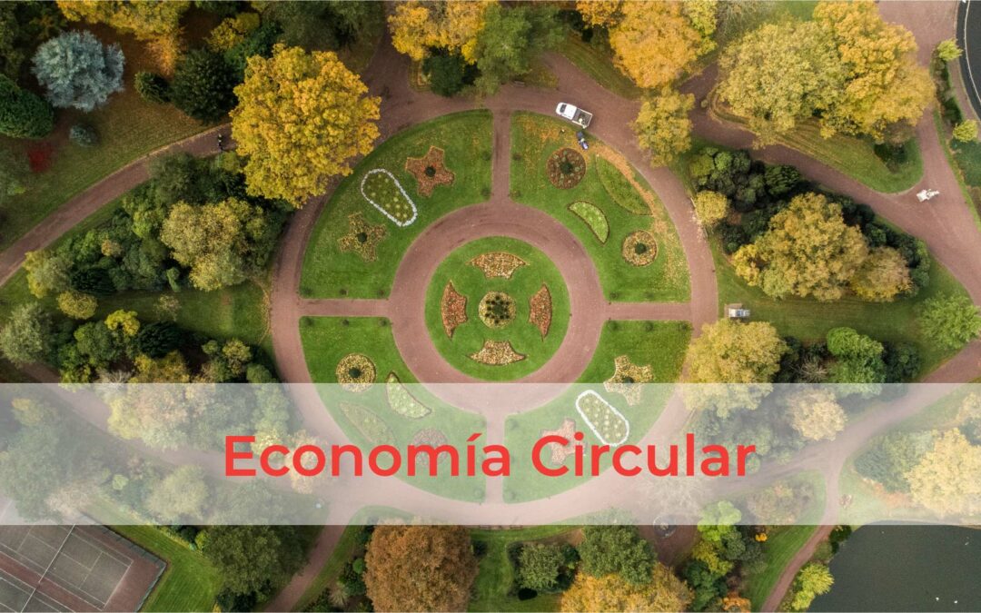 Webinar sobre plásticos y economía circular